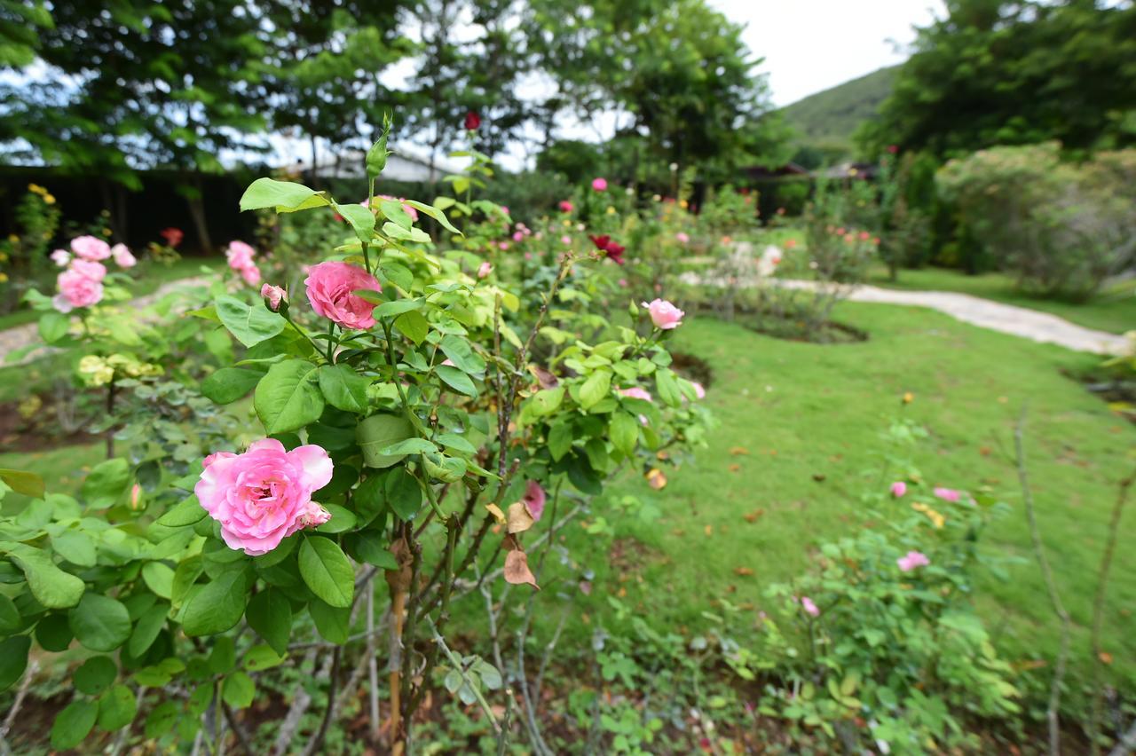 Rose Villa Hote Pakcsong Kültér fotó